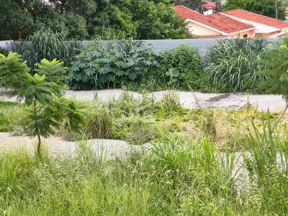Foto 4 de 6 — ‘Situação é de abandono’: mato alto revolta moradores de postinho de saúde em Araraquara